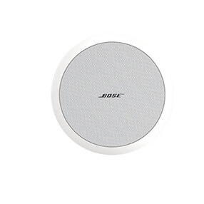 Bose® FreeSpace® DS 40F 扬声器