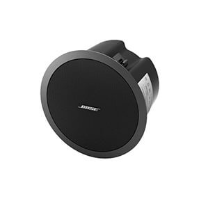 Bose® FreeSpace® DS 100F 扬声器