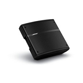 Bose® Panaray® 310M 多向返听扬声器